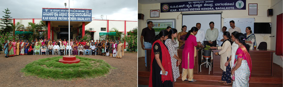 Inaugration of Natural Farming Training