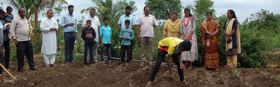Kitchen Garden Kit Distribution