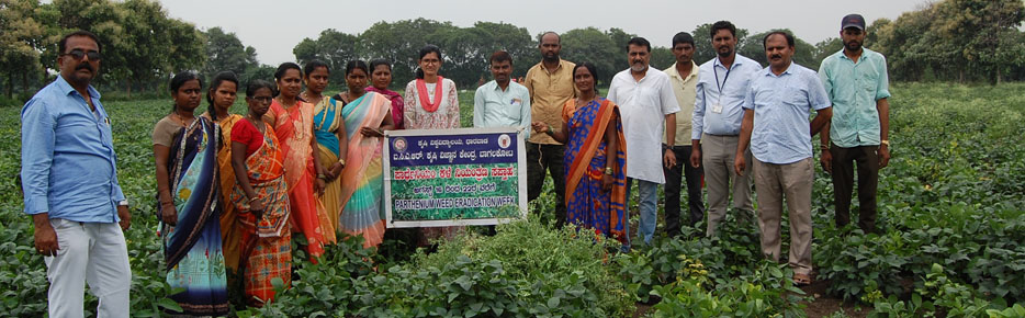Parthenium Eradication Week