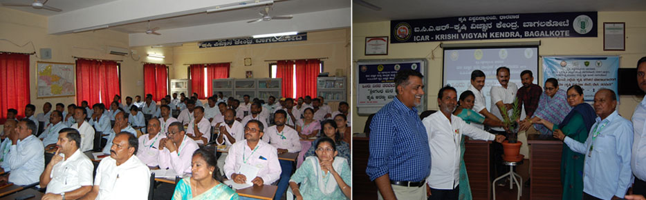 Training Programme on Sandalwood Based Forestry