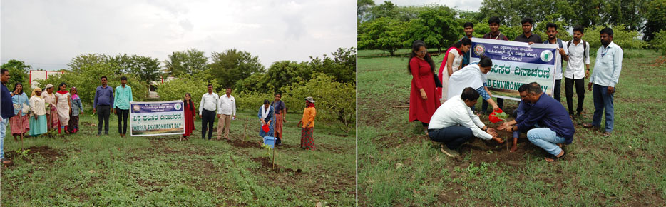 Celebration of World Environmental Day 05.06.2024