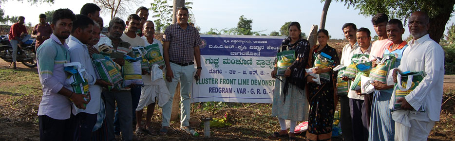 CFLD Pigeonpea  Seed Distribution to the Farmers at Malali village of Mudhol Taluk